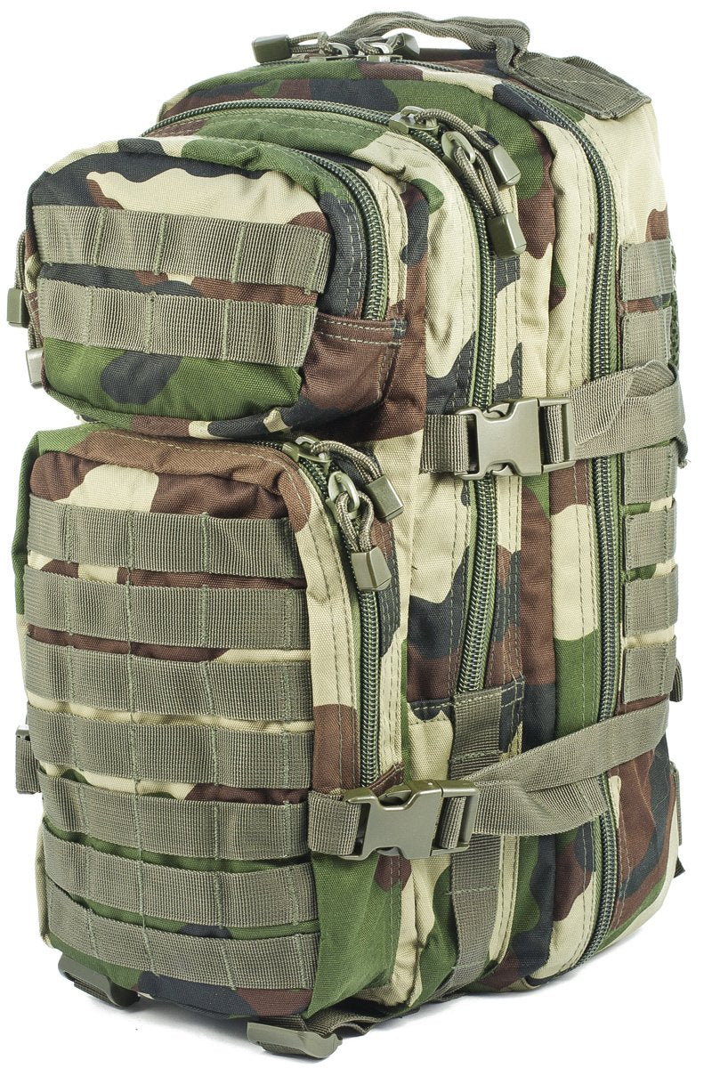 Mil-Tec MOLLE Tactical Assault Backpack