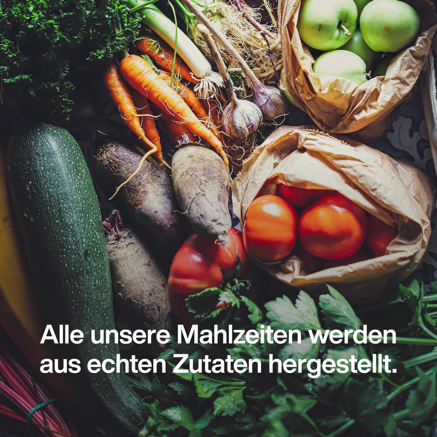 Mil-Tec Tactical Foodpack – Survival Meal Kit, Multicolour, One Size